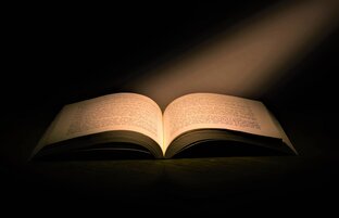 ГОРОДСКАЯ ЛЕГЕНДА