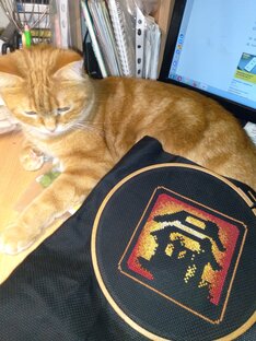 Вышивально-рукодельные влоги