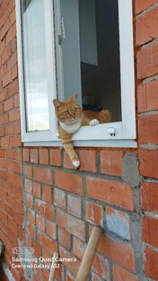 Дом, милый дом