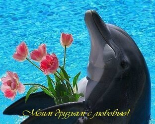 ПОЗИТИВНОЕ ВИДЕО. РЕЛАКС.