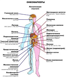 #МАЛЬСАГОВАЗДОРОВЬЕ