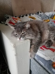 Скучно дома 