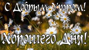 Доброе утро.