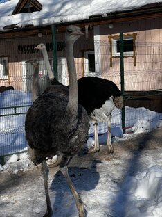 «ВКонспекте»