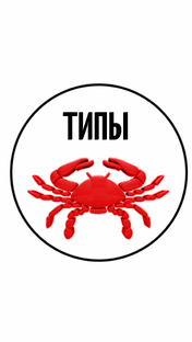 ТИПЫ