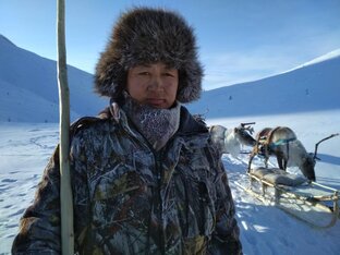 Жизнь и тайны оленеводов