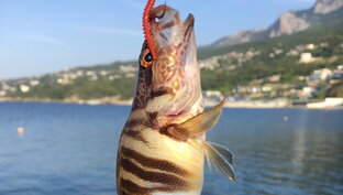 РЫБАЛКА НА МОРЕ