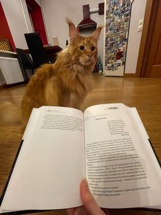 Авторское прочтение