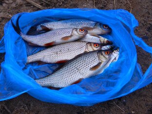 Охота и рыбалка