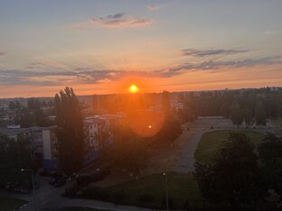 Трезвый взгляд