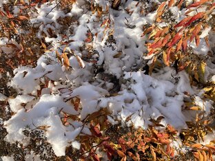 Отдых в Подмосковье