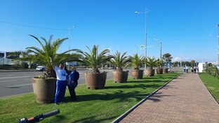 Путешествия, отдых.