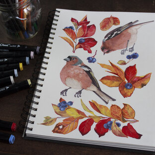 Нарисованные птицы