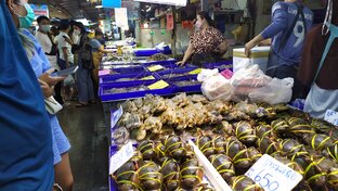 Короткие видео о тайской еде