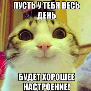 Самые популярные видио 