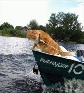 Обзоры про рыбалку и не только.