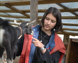 Городские дети в деревне. Это весело!