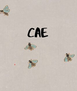 CAE
