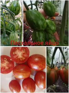 Пасхальное яйцо