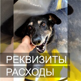 Реквизиты и расходы