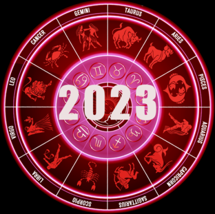 2023 год