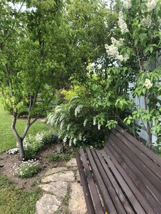 Уход за садом