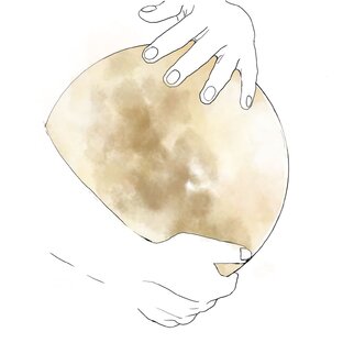 Физиология Беременности