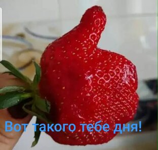 Вот такого тебе дня