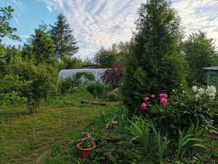 полезные советы