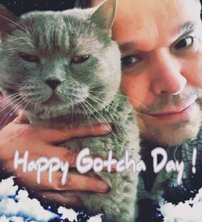 Счастливые истории