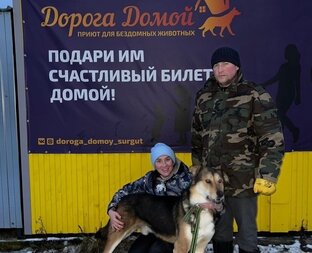 Счастливый билет домой!