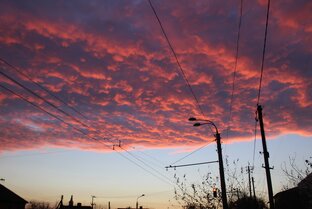 Красота вокруг нас