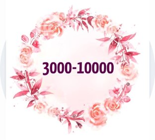 3000 - 10000