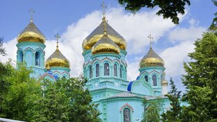 Церковная флористика