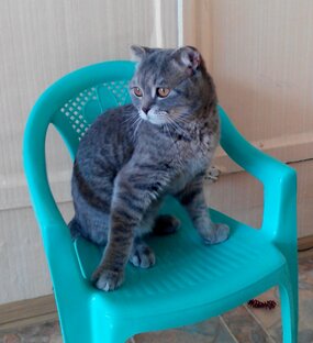 Этот день в истории