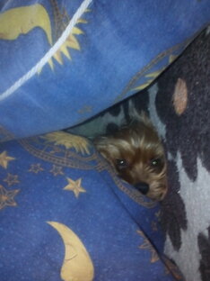 Короткие рассказы