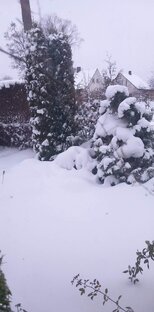 Красавица зима.