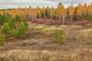ОСЕНЬ В ГОРОДИЩЕНСКОМ РАЙОНЕ