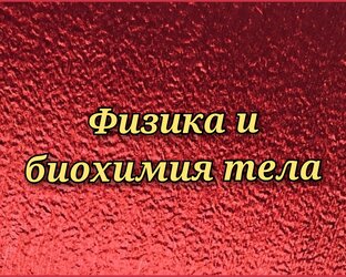 Физика и биохимия тела