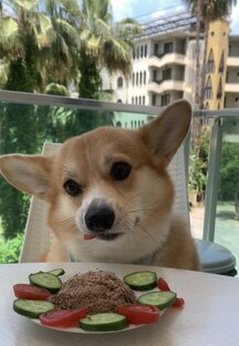 Чего бы поесть?