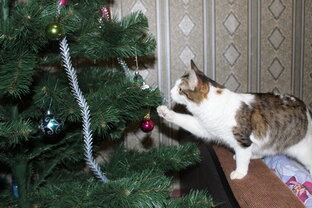  Всего помаленьку