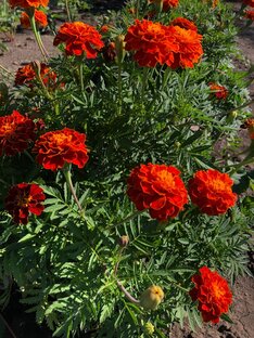 Перезагрузка