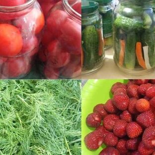 Заготовки на зиму