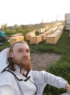 Для пчёл