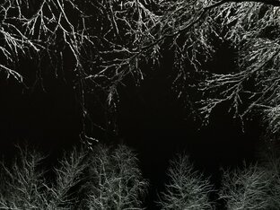 И это ещё только 1 ноября (2022 г) Печора Республики Коми 