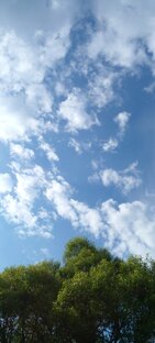 Природа. Фото и видео.