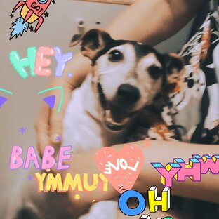 Кипиш