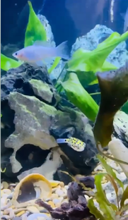 аффирмации, релакс