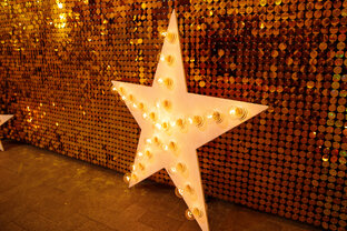 СЕЛЕБРИТИС