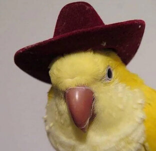 Загадочные истории 